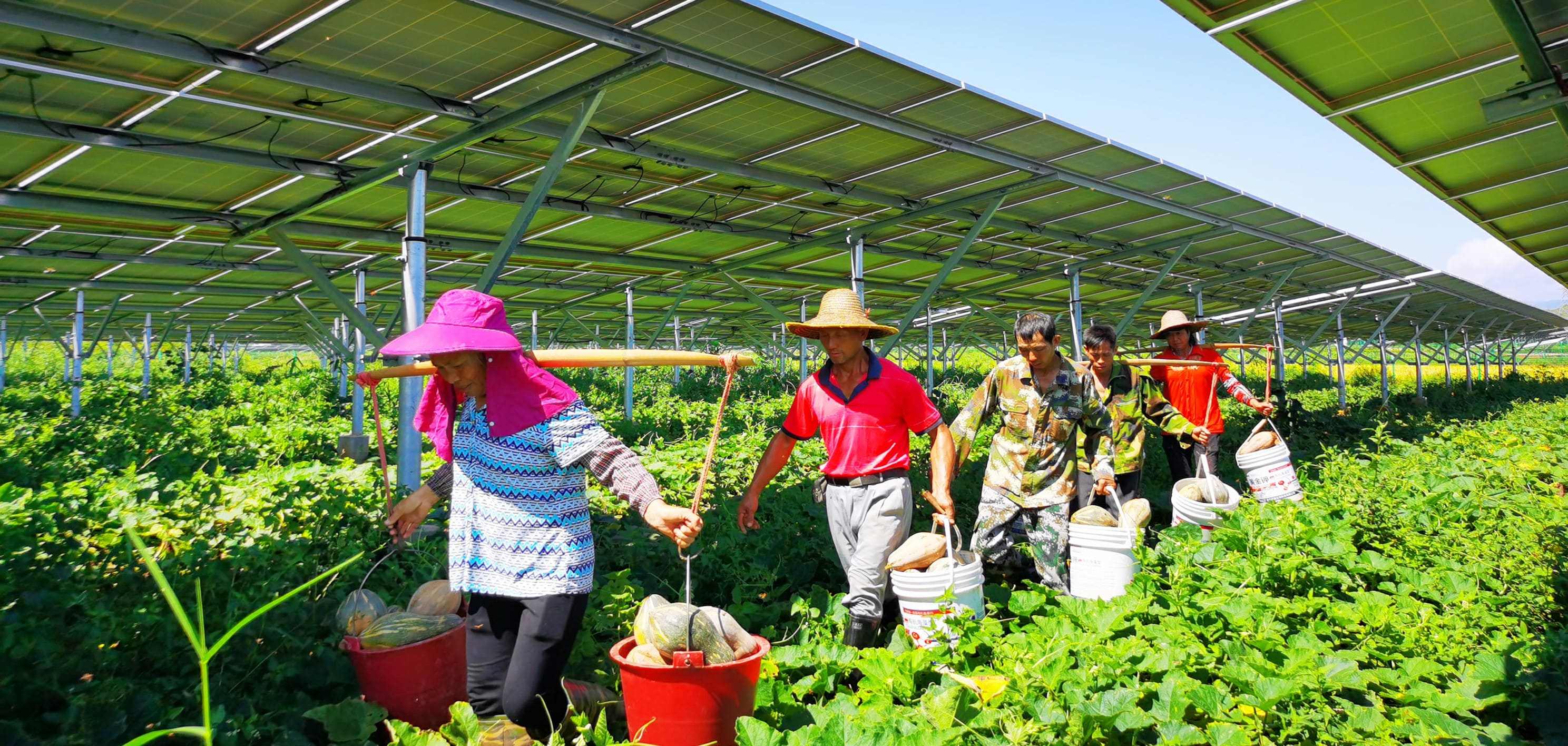 Agri-PV