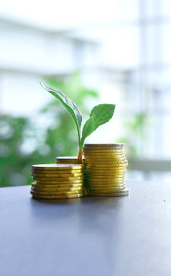 Share Revenue from Electricity Trading