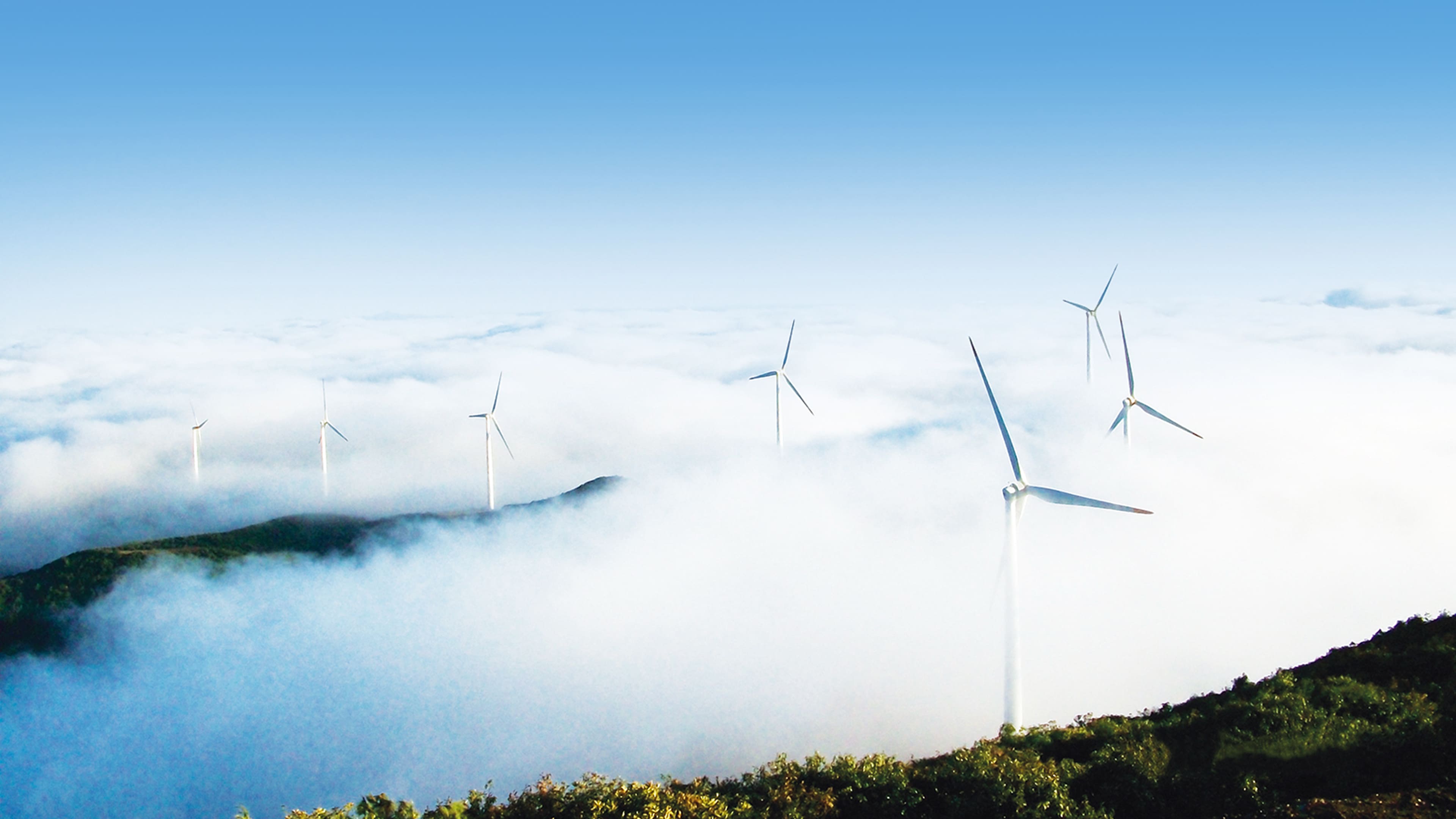 Wind Farm